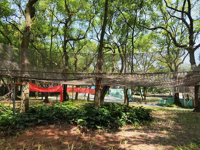 室外游樂場設備